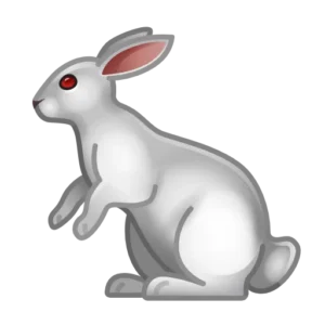 rabbit 1f407