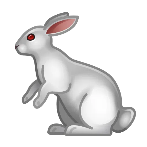 rabbit 1f407