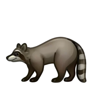 raccoon 1f99d