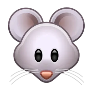 mouse face 1f42d