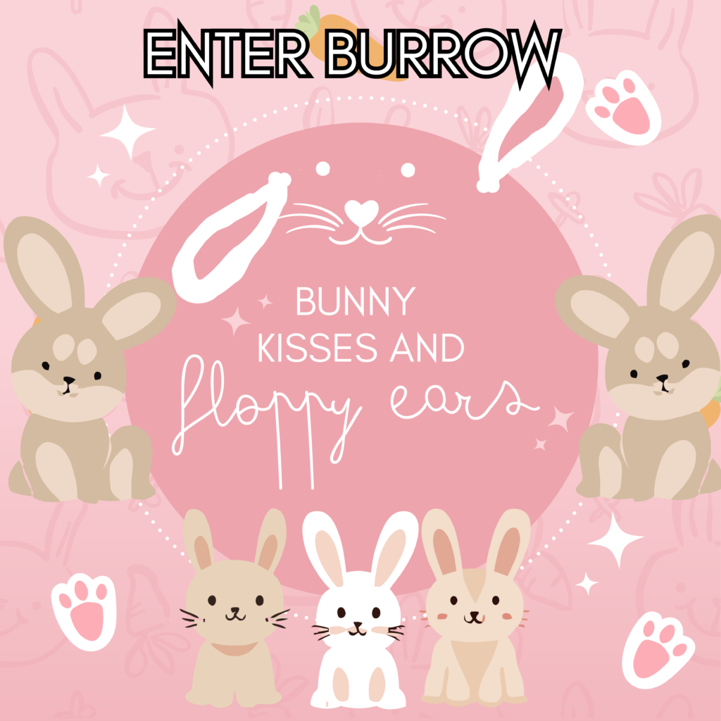 enter burrow